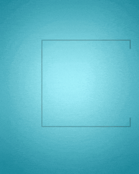 Kampagneslogan 480X600
