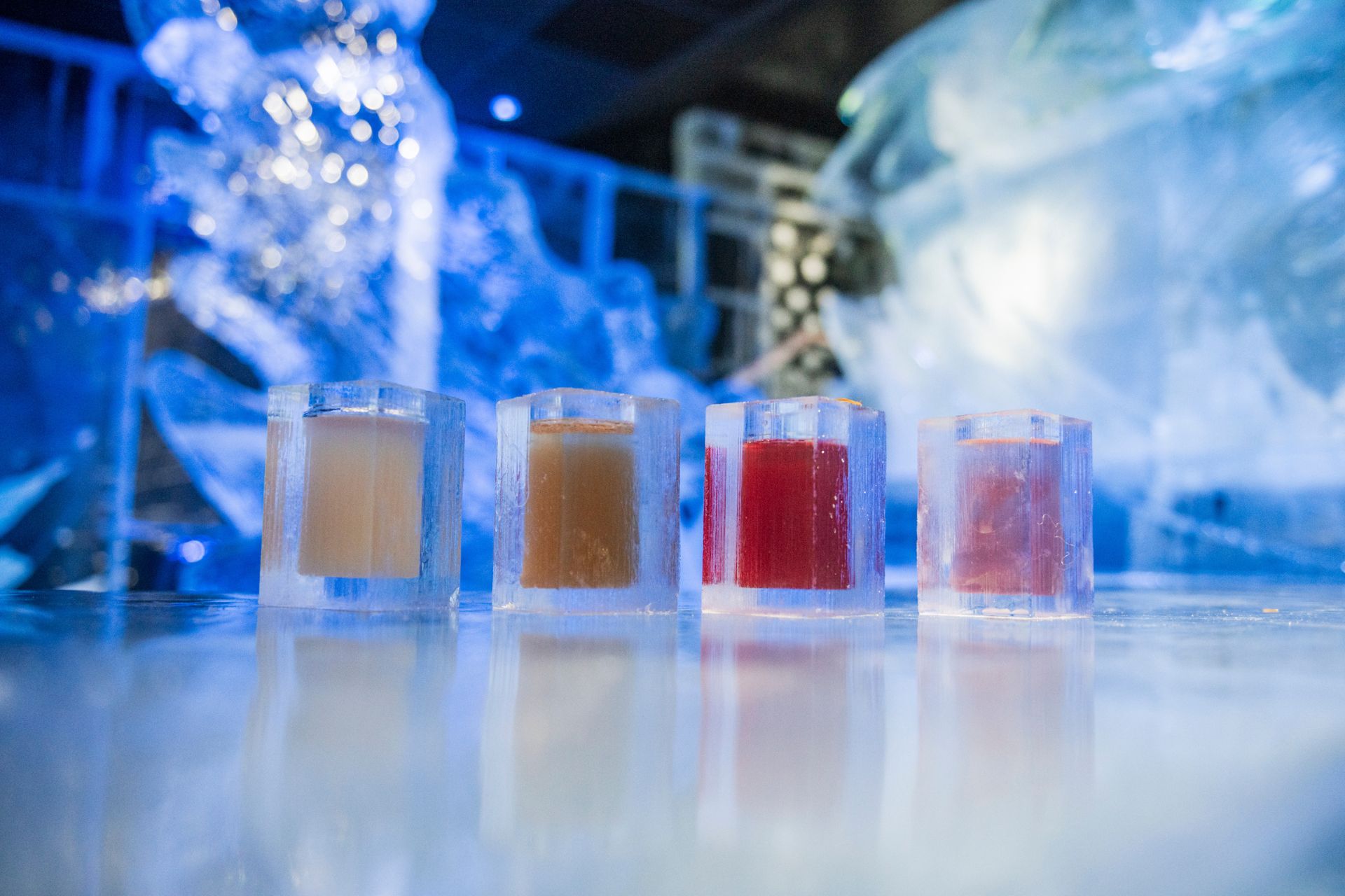 Farverige drinks serveret i arktiske omgivelser. Foto: Asaf Kliger